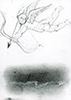 Sakrale Zeichnung 17, Din A6, Bleistift, Graphit und Wachsmalkreide auf Karteikarte, 2000