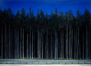 Großer Wald 10, Öl auf Leinwand, 200 x 145 cm, 2011