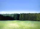 Großer Wald 1, Öl auf Leinwand, 200 x 145 cm, 2009